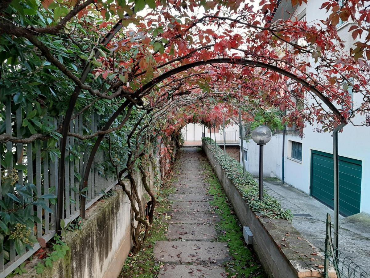 Appartamento Genziana - Con Vista Piscina E Garage Сирмионе Екстериор снимка